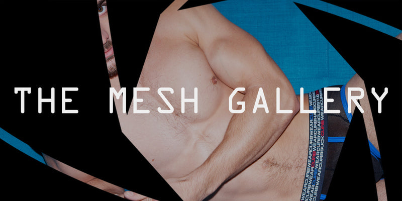 Meshing About